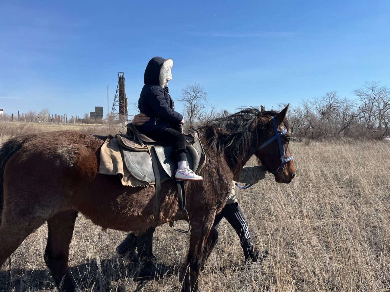 Begegnung mit Tieren im Rahmen der Therapie