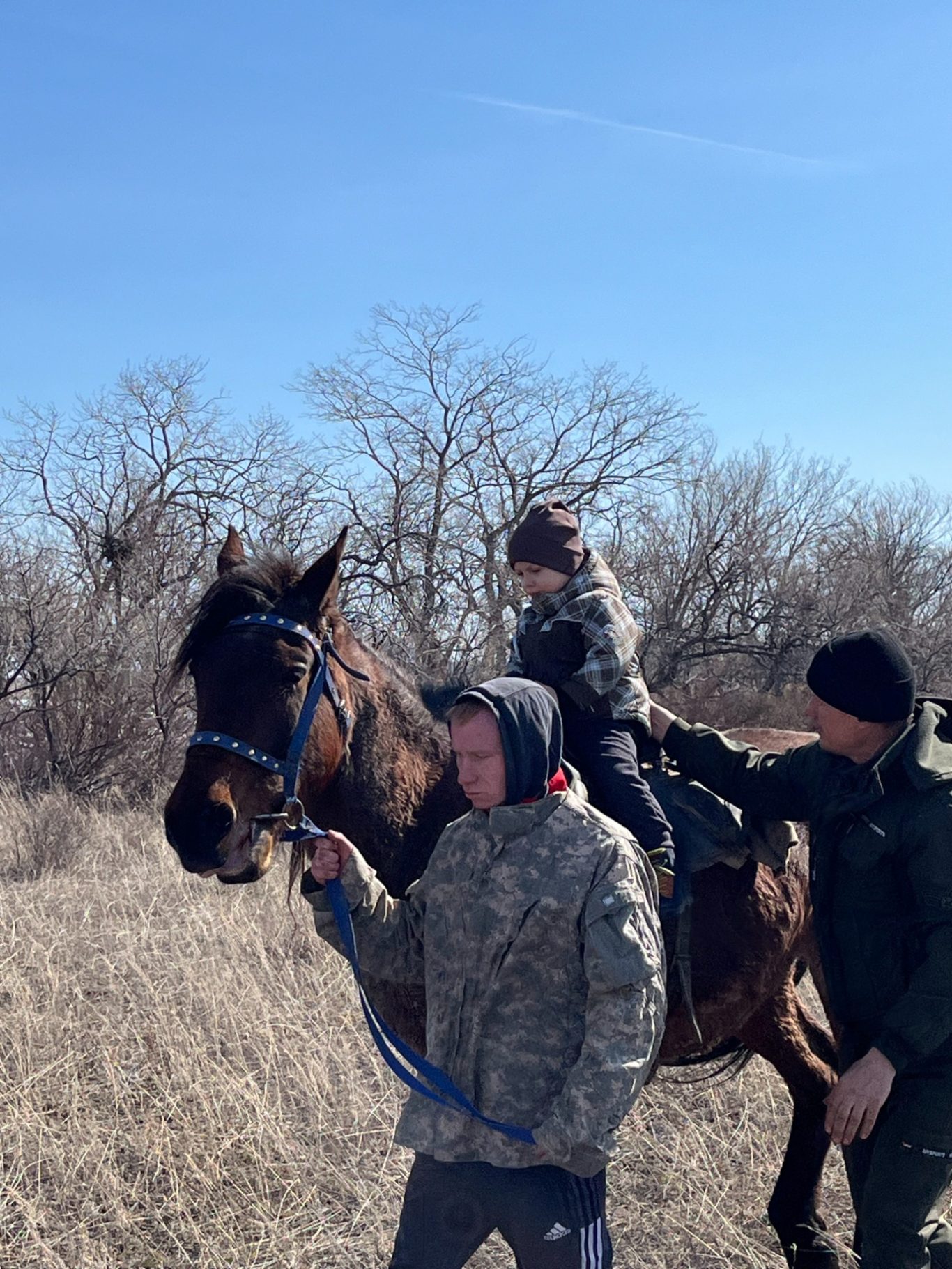 Begegnung mit Tieren im Rahmen der Therapie
