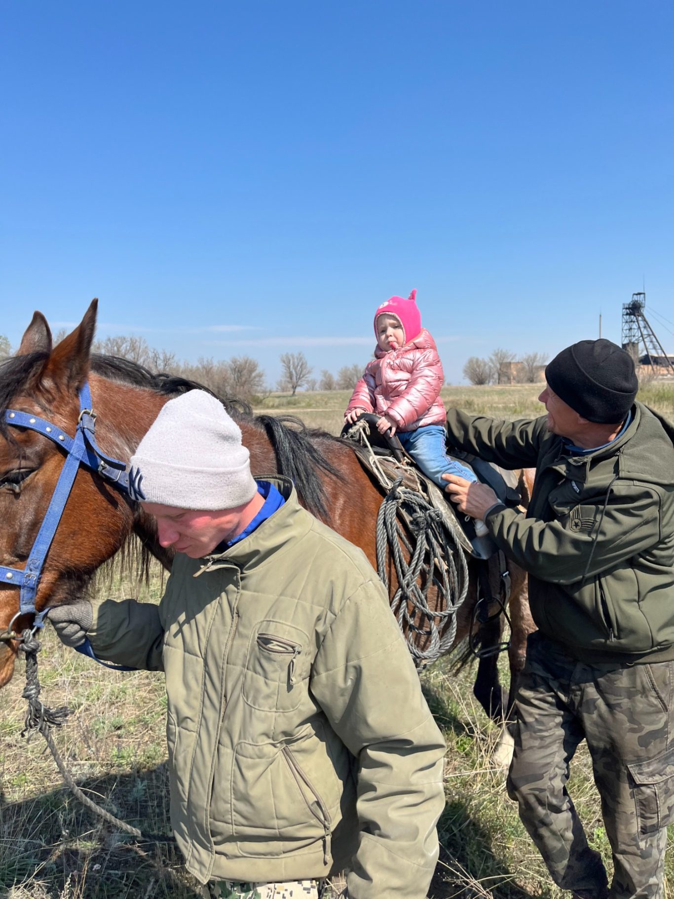 Begegnung mit Tieren im Rahmen der Therapie