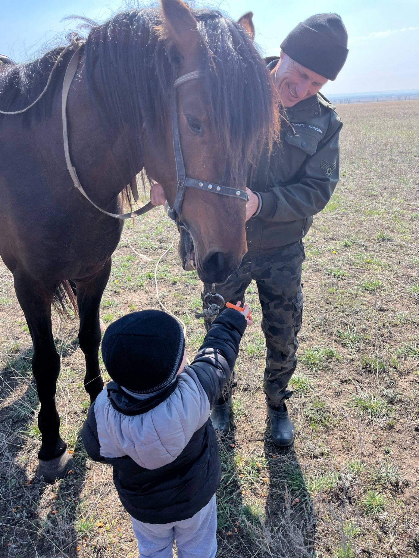 Begegnung mit Tieren im Rahmen der Therapie